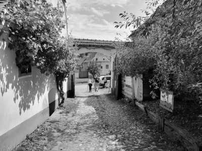 Romania - Viscri 32: White Barn and Blue House - Transylvanian Expedition Chapter One: Step into The Legends of Transylvania - 4