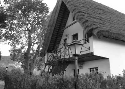 Portugal - Santana - 🌅 The Hawaii of Europe: MADEIRA! 🌤️ Private Authentic Thatched Farm Villa, Hiking, Wine Tasting, Beaching and Vibes!! - 3