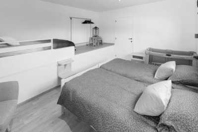 Belgium - Antwerp - Tomorrowland Summer Festival Trip - The Party of your Lifetime in Belgium 🇧🇪🥳 - 5