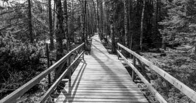 Deutschland - Wildseemoor - Step into the Flow | Hohenzollern Castle | Sankenbach Lake & Falls | Black Forest | 3 days - 2