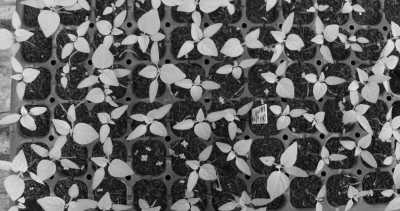 Costa Rica - La Gamba centro - Co-working und Volunteering im Regenwald Costa Ricas - 30