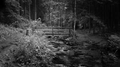 Deutschland - Sankenbachwasserfälle - Step into the Flow | Hohenzollern Castle | Sankenbach Lake & Falls | Black Forest | 3 days - 6