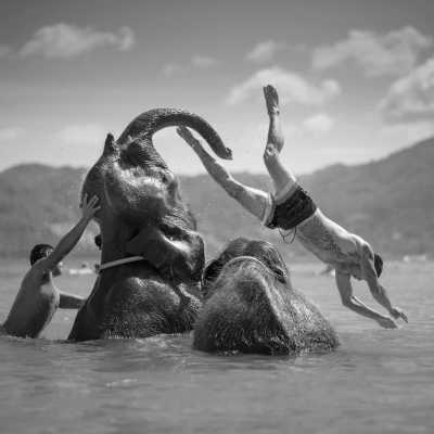 Thailand - Elephant Swims @Lucky Beach, Tri Trang - Swimming with Elephants and Snorkeling in Phuket, Thailand: Island Paradise, Majestic Elephants, Spectacular Snorkeling, and Local Cuisine!