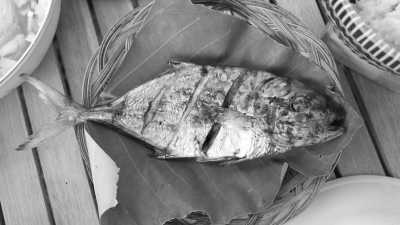 Indonesia - Kedonganan Fish Market - Discover New Horizons on a Bali Summer Escape: Unveiling the Beauty of Indonesia - 6