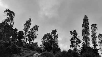 India - Kodaikanal - Ancient South India: Experience the Exotic Ancient Temples and Enticing Hills of Tamilnadu - 18