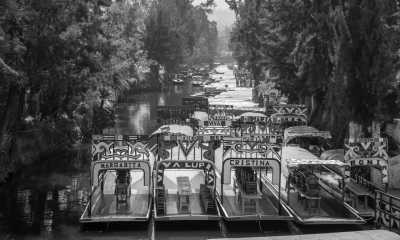 Mexiko - Coyoacán - Explore Mexico City 🇲🇽 5-Day Ultimate Sightseeing Trip - 1