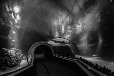 Sweden - Gothenburg - Enchanting Sweden: A Nordic Adventure with Northern Lights - 2