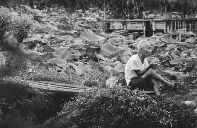 Vietnam - Hanoi - Active Adventure in North Vietnam (motorbike, hike, and cycle) - 5