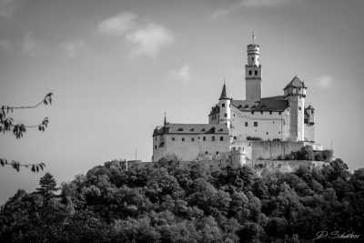 Germany - Koblenz - Fabulous castles in the romantic valley of the Middle Rhine, Germany - 2