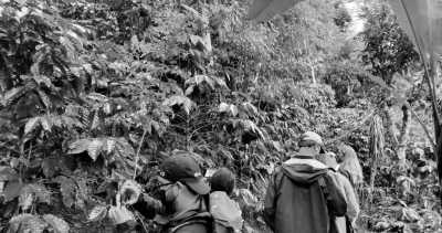 Costa Rica - Atenas - Explore Costa Rica and the true meaning of "Pura Vida" with a local! - 1