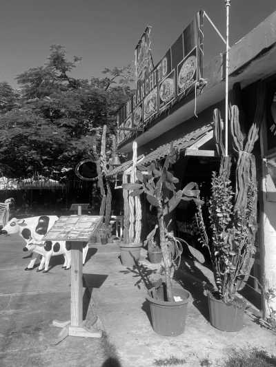 Mexiko - Cancún - Tacos, Tequila and Turtles - Yucatan, Mexico - 2