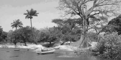 Senegal - Kachiouane - Sailing Adventure in the Casamance of Senegal - 9