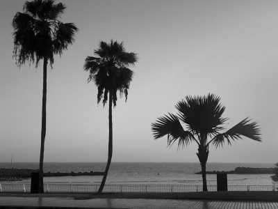 Spain - Playa de Amadores - Coaching Trip Gran Canaria☀️"Erfüllung im Leben" - 5