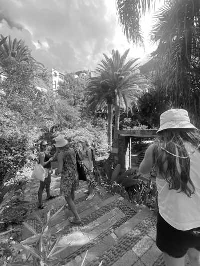 Spain - Garachico - Carnaval & More 🥁🌴  Let's enjoy Tenerife's nature, mountains and beaches during the day, and party at the biggest Carnaval of Europe on various evenings 💃🏽 - 9