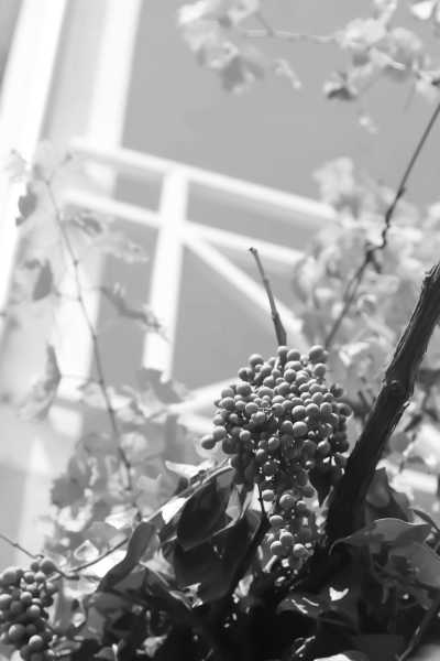 Croatia - Opatija - Private Soul Connecting Self-love Retreat in Croatia - 8