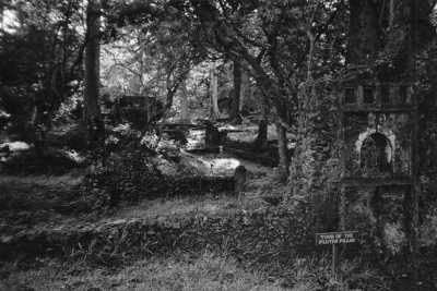 Kenia - Gede Ruins - Road Trip and Holiday Escapade In Kenya (Mombasa and Watamu) for 10 days - 1