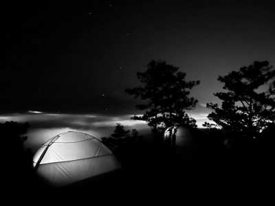 Vietnam - Dalat - All in one trip to Vietnam: Ho Chi Minh City and Da Lat - Nha Trang, Travel in a local way - 2