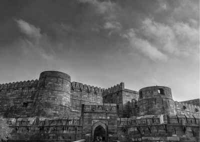 India - Agra - Wildlife and Cultural Exploration in India: Local Food, Day Trips and More!