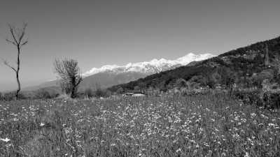 India - Himachal Pradesh - The Essence of India 🇮🇳 with a Local TripLeader - 8