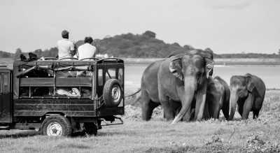 Sri Lanka - Tissamaharama - Tropical Roundtrips: Discovering Sri Lanka's Wonders - 16