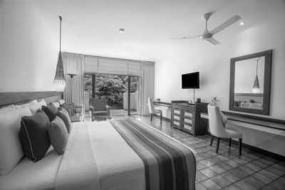 Sri Lanka - Kandy - Join the Ultimate Sri Lankan Extravaganza: Witness the Mesmerizing Kandy Esala Perahera, Indulge in Sri Lankan Food, and Explore Breathtaking Landscapes - 3