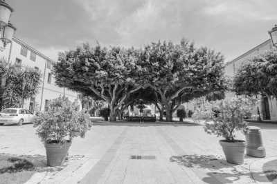 Italy - Marsala - 2 Weeks CoWorking  in Sicily  Hidden gems, good food and beaches - 2