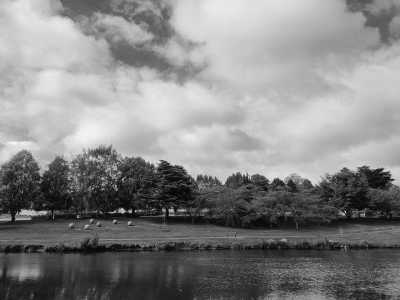 Australia - Deloraine - Tasmania Express: 4-Day Getaway on Wheels! - 4