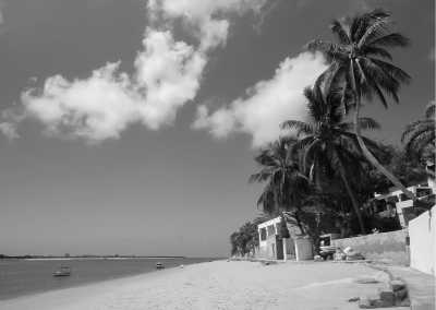 Kenya - Lamu - Wild adventure in Lamu, Kenya 🐘 - Private room (fits 1 pax) - 2