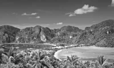 Thailand - Phi Phi Islands - Unplug in Thailand's Paradise: Devices Less and More Human Interactions☺️❣️with Volunteering, Muay Thai, Diving and Many More (with Private room) - 1