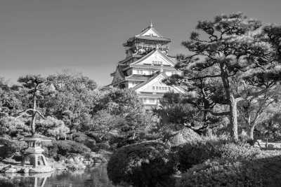 Japan - Osaka - All Of Japan: Gastronomy, Cultural, Adventure Including Mt.Fuji, Toyko, and Okinawa