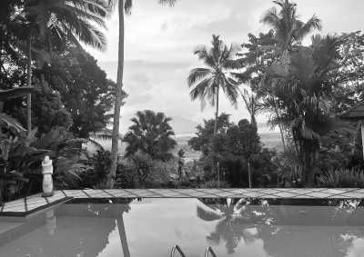 Indonesia - Oase Van Java - Hiking Mount Andong: Mountian for Beginner, Outdoor Activity With Stunning Scene in Indonesia - 2