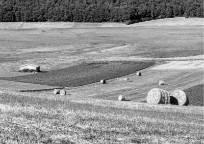 Italy - Parco di Monza - Embark on a Journey of Amore: Exploring Italy's Rich History, Savoring Pasta, and Strolling Cobblestone Streets