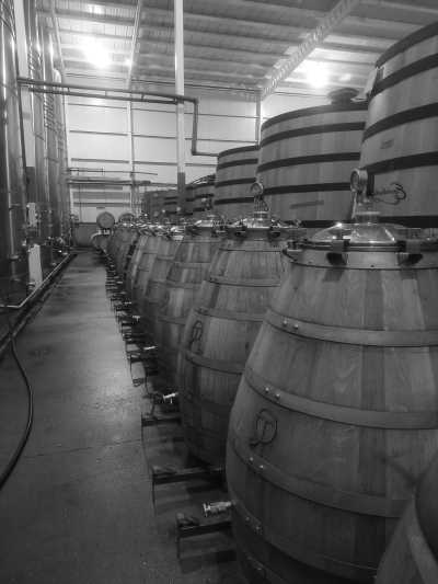 Argentina - Valle de Uco - Discover Mendoza, Argentina with a local: Mountains, Wine & Food Culture and more! - 11