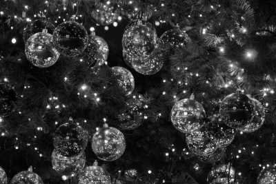 United States - Shady Brook Farm - A Magical Christmas Season in Philadelphia: Lights, Hayrides, Villages, Gingerbread Houses, Cinnamon Ornaments, & MORE!