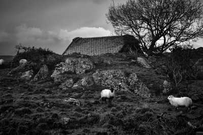 Irland - Allihies - Fotoreise und Foto-Workshop - Entdecke Irland! 📷🇮🇪 - 2