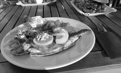 Deutschland - Rechlin - Urlaub und Skippertraining in der Mecklenburgischen Seenplatte