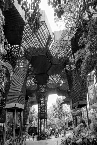 Colombia - Medellín - Medellin in 5 Days: Adventures, Fun, and Relaxation in Colombia's Vibrant City - 2