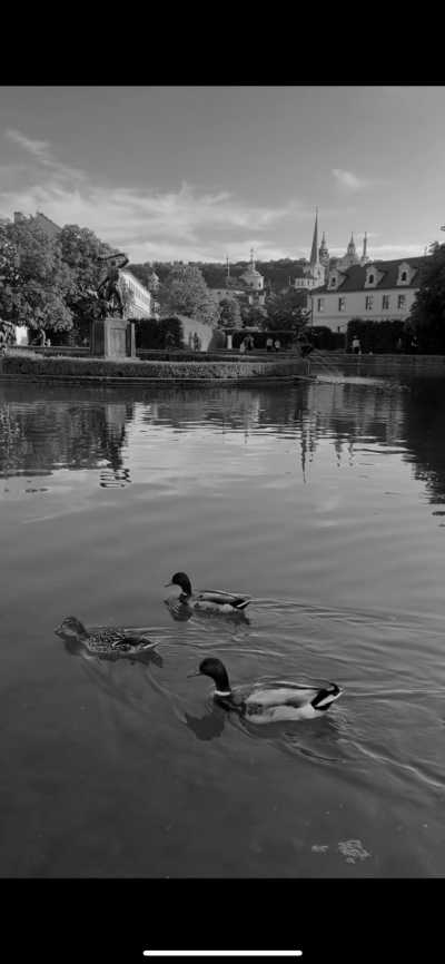 Czechia - Old Town - Have A Romantic Trip to Prague: See the Most Magical Spots and Feed the Deers in  Czech Republic - 6