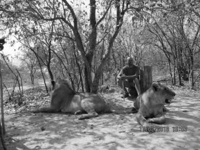 Western Africa - Fathala Wildlife Reserve - Safari Senegal Accommodation - Abenteuerreise nach Afrika - Gambia 😊 - 5