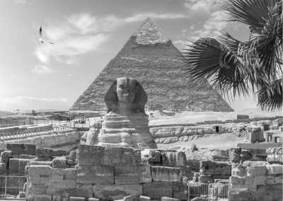 Egypt - The Egyptian Museum in Cairo - Travel Like a Local Through Egypt - 2