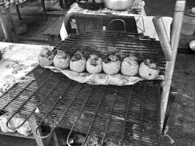 Peru - Iquitos - Ayahuasca in the Peruvian Amazon / The Dunes Peruvian Oasis - Let's Explore the Jungle & Connect with Nature! - 3