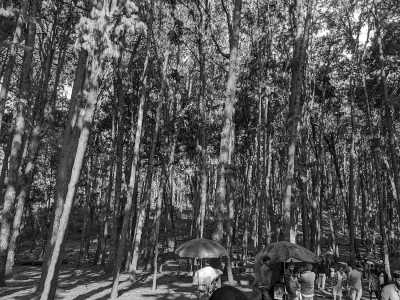 India - Kodaikanal Hill Station - Ancient South India: Experience the Exotic Ancient Temples and Enticing Hills of Tamilnadu - 15