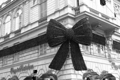 Österreich - Vienna Winter Trip 🇦🇹 Christmas Market, Traditional Food and Christmas Shopping - JoinMyTrip