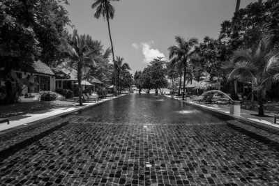 Asia - Bangsak Village - Around the World Chapter One : Exploring Asia - 2