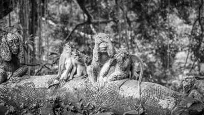 Indonesia - Sacred Monkey Forest Sanctuary - 7-Day Bali Summer Adventure: Mount Batur Trekking, Body Cleansing Ritual, Monkey Forest Sanctuary, Ubud Exploration, Kintamani, Uluwatu, and Tanjung Benoa Watersports