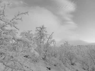 Northern Europe - Kilpisjärvi - Nordic Experience and Whale Watching in Norway,Finland - 3