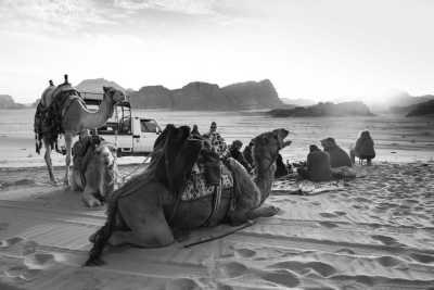 Jordan - Wadi Musa - Discover Jordan: Explore the Country Through Local Eyes - 4