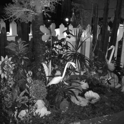 Philippines - Legazpi City - Exploring the Volcano Beauty of Legazpi, Albay, Philippines - 4