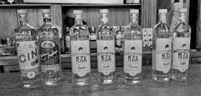 Mexico - Oaxaca - DAY OF THE DEAD AT OAXACA - 28