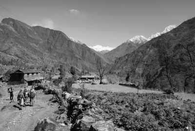 Nepal - Pothana - Ghorepani Poon Hill Trek, with a Nepalese guide!